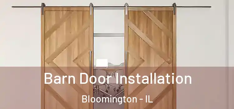  Barn Door Installation Bloomington - IL