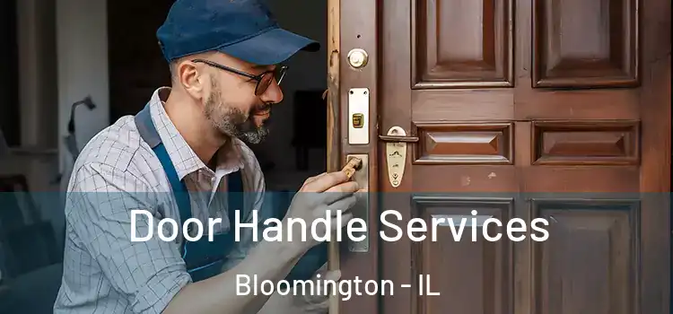  Door Handle Services Bloomington - IL