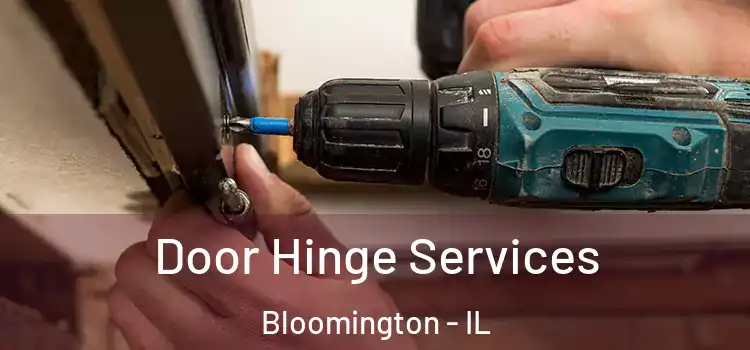  Door Hinge Services Bloomington - IL