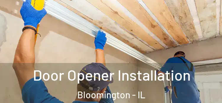 Door Opener Installation Bloomington - IL