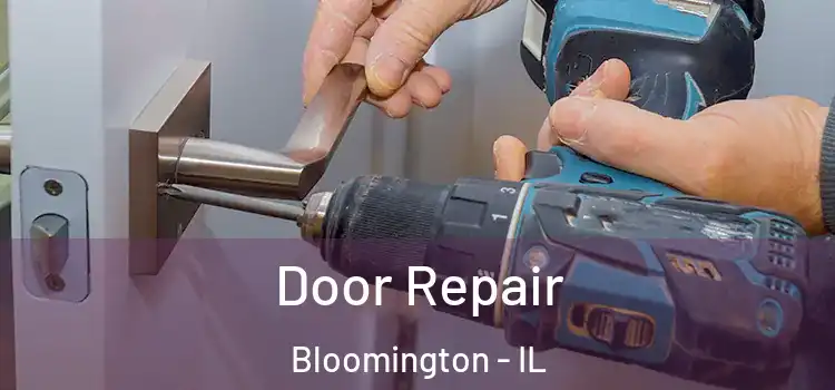  Door Repair Bloomington - IL