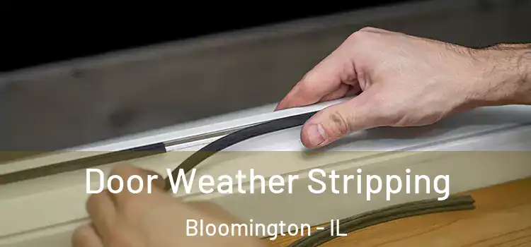  Door Weather Stripping Bloomington - IL