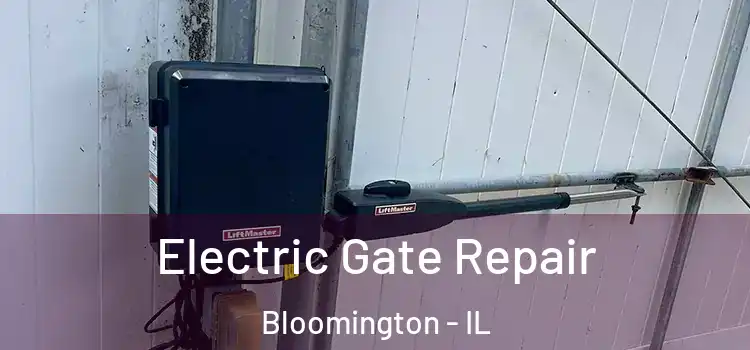 Electric Gate Repair Bloomington - IL