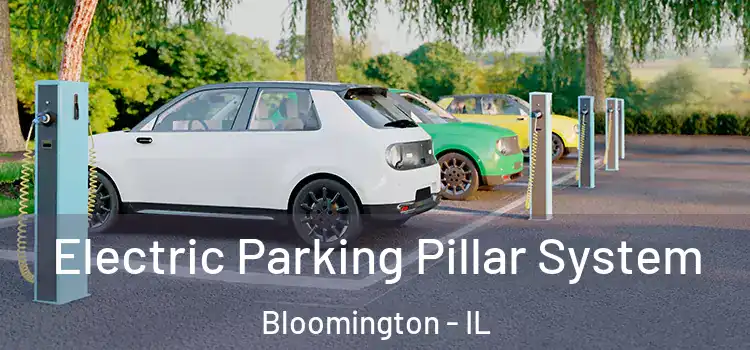 Electric Parking Pillar System Bloomington - IL