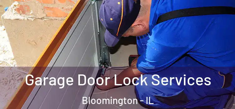 Garage Door Lock Services Bloomington - IL