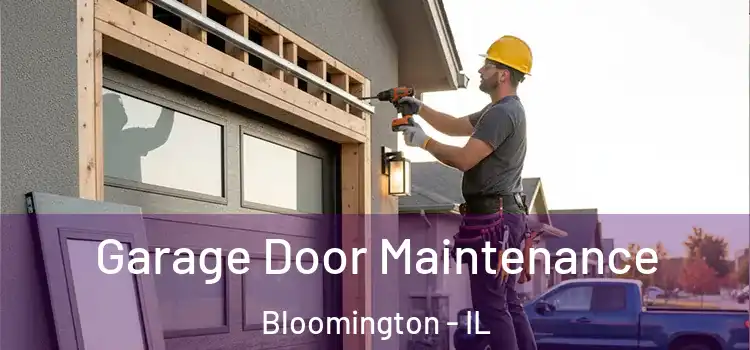 Garage Door Maintenance Bloomington - IL