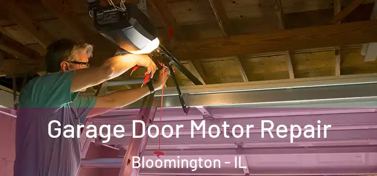  Garage Door Motor Repair Bloomington - IL