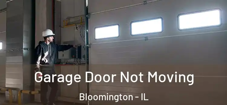  Garage Door Not Moving Bloomington - IL
