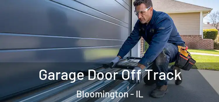  Garage Door Off Track Bloomington - IL