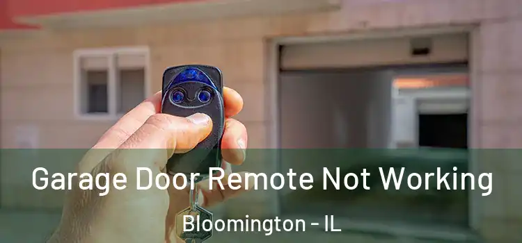  Garage Door Remote Not Working Bloomington - IL
