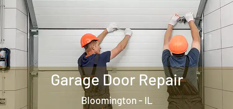  Garage Door Repair Bloomington - IL