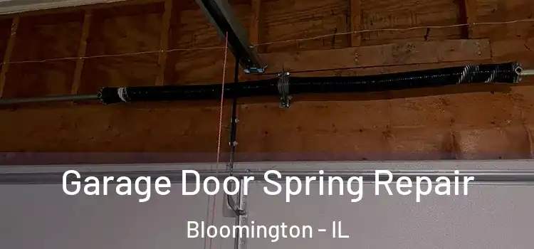  Garage Door Spring Repair Bloomington - IL