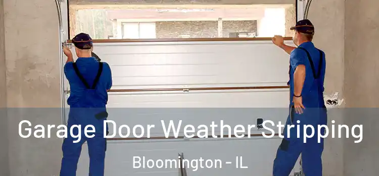  Garage Door Weather Stripping Bloomington - IL