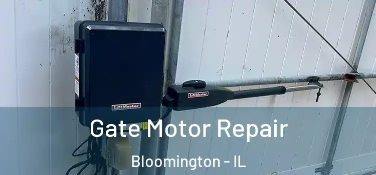  Gate Motor Repair Bloomington - IL