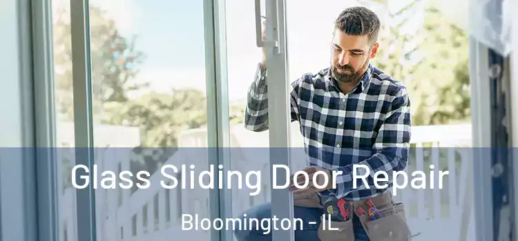  Glass Sliding Door Repair Bloomington - IL