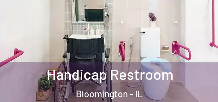 Handicap Restroom Bloomington - IL