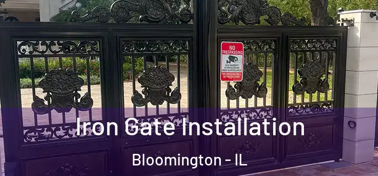  Iron Gate Installation Bloomington - IL