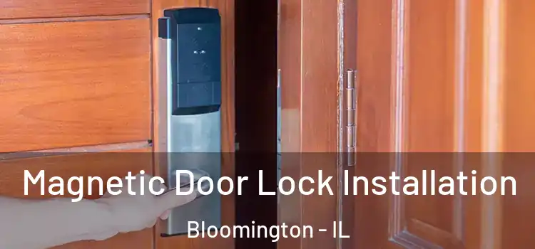  Magnetic Door Lock Installation Bloomington - IL