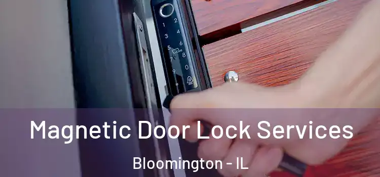Magnetic Door Lock Services Bloomington - IL