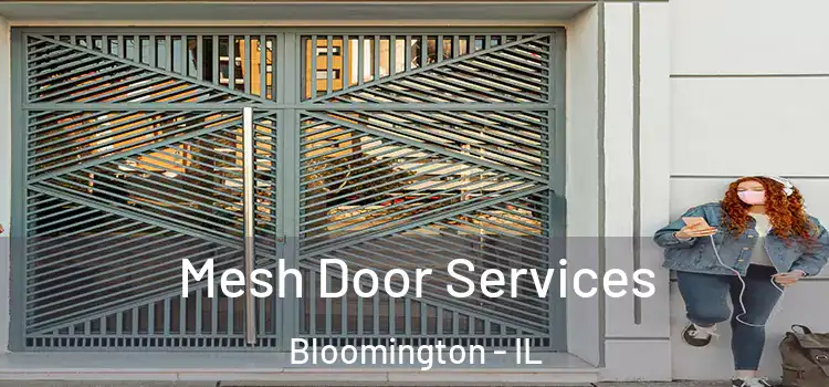  Mesh Door Services Bloomington - IL
