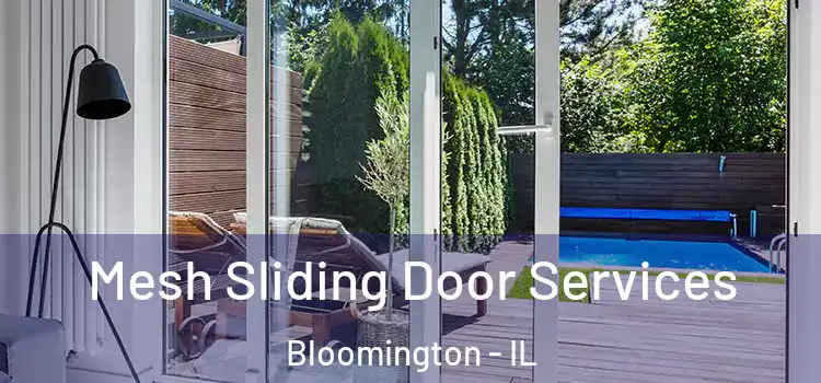  Mesh Sliding Door Services Bloomington - IL