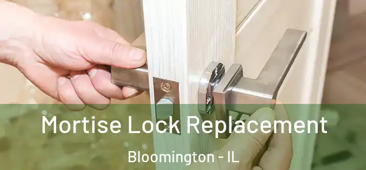  Mortise Lock Replacement Bloomington - IL