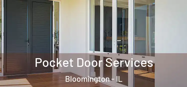  Pocket Door Services Bloomington - IL