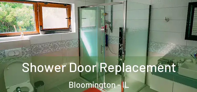 Shower Door Replacement Bloomington - IL