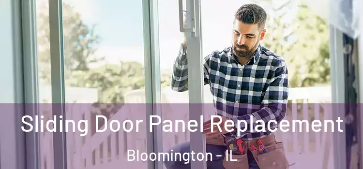  Sliding Door Panel Replacement Bloomington - IL