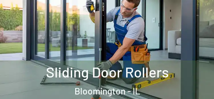  Sliding Door Rollers Bloomington - IL
