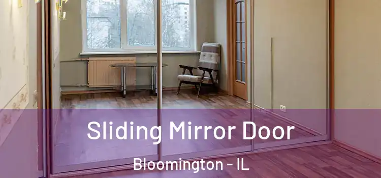  Sliding Mirror Door Bloomington - IL