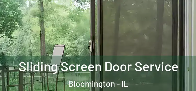  Sliding Screen Door Service Bloomington - IL