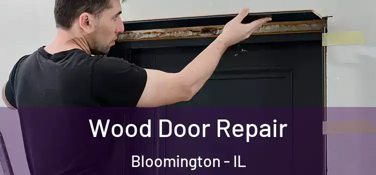  Wood Door Repair Bloomington - IL