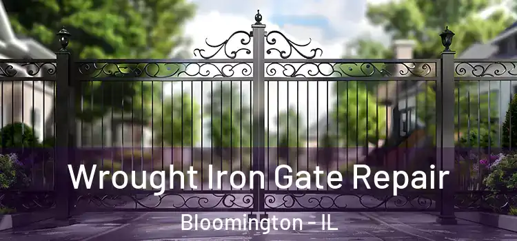  Wrought Iron Gate Repair Bloomington - IL